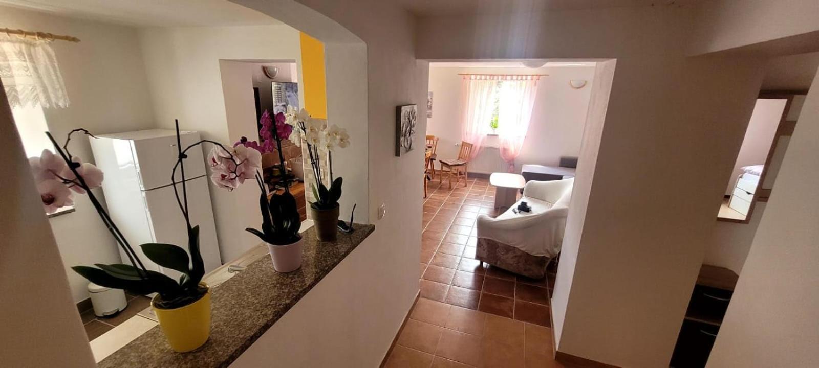 Apartma Brin Бовец Экстерьер фото